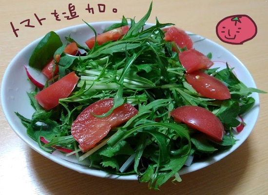 f:id:yagine:20200421085156j:plain