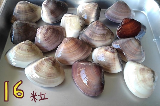 f:id:yagine:20200427072217j:plain