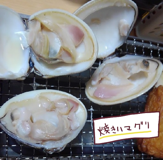 f:id:yagine:20200427075113j:plain