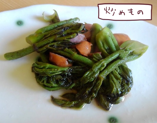 タラの芽を料理して食べるよ 不器用な熟女の料理修行 大人女子ヤギネの食レポブログ