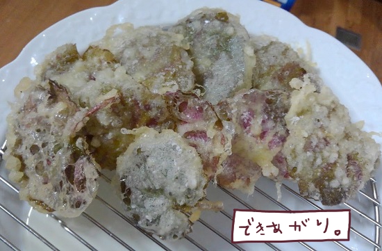 f:id:yagine:20200505073936j:plain f:id:yagine:20200505073936j:plain