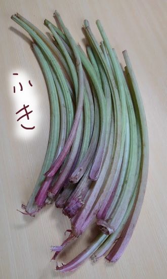 f:id:yagine:20200508081108j:plain