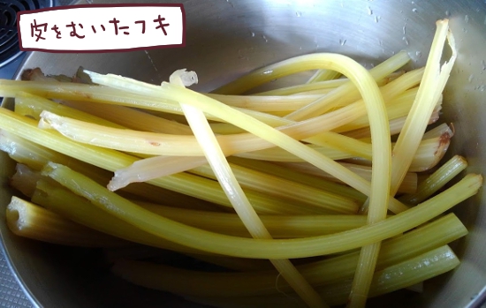 f:id:yagine:20200508082534j:plain