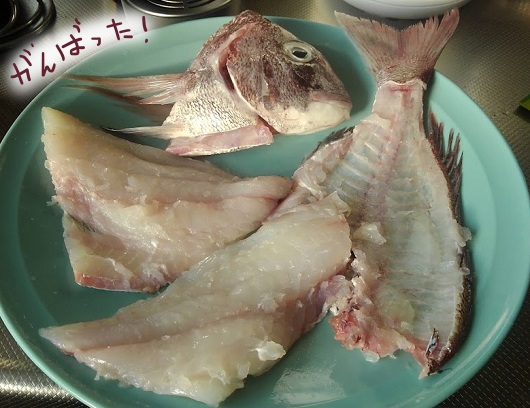 f:id:yagine:20200528070308j:plain