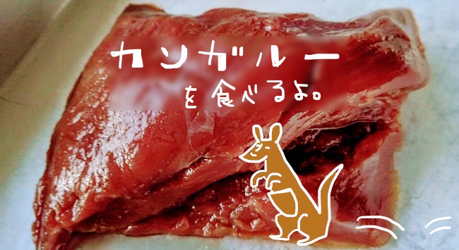 f:id:yagine:20200820082358j:plain