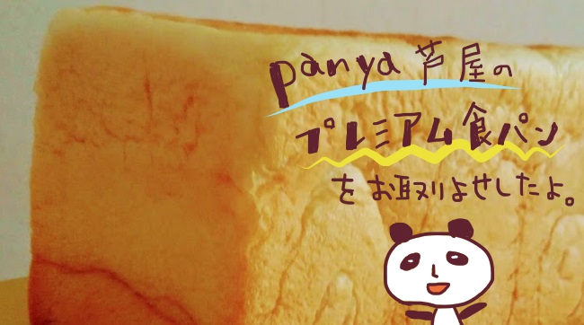 f:id:yagine:20200912083055j:plain