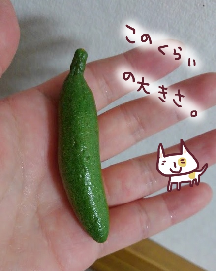 つぶつぶ フィンガーライム キャビアライム を食べた感想 食べチョク 大人女子ヤギネの食レポブログ