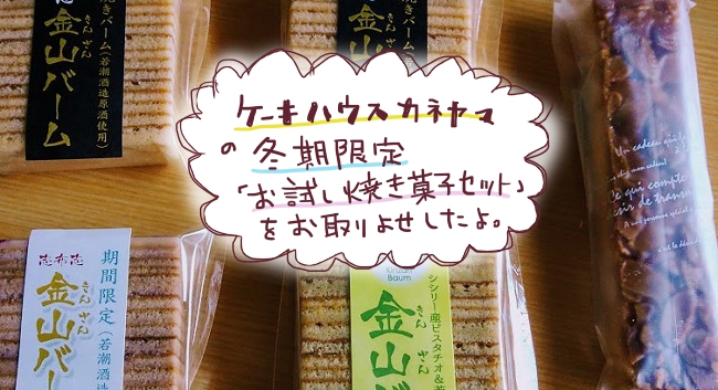 f:id:yagine:20201210074115j:plain