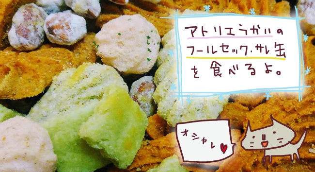 f:id:yagine:20201219075130j:plain