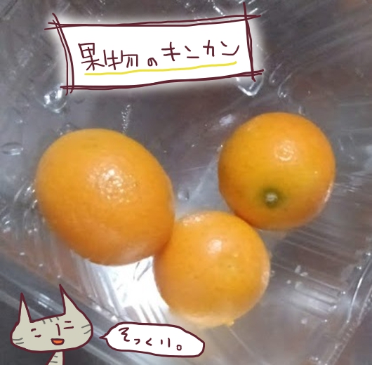 f:id:yagine:20210124231510j:plain