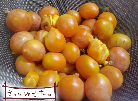 f:id:yagine:20210124231540j:plain