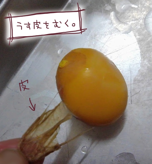 f:id:yagine:20210124231548j:plain