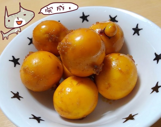 f:id:yagine:20210125222538j:plain
