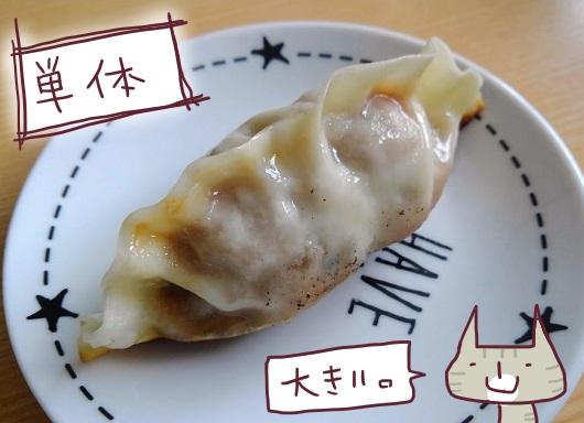 f:id:yagine:20210128113719j:plain