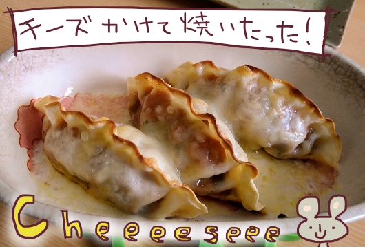 f:id:yagine:20210128114155j:plain