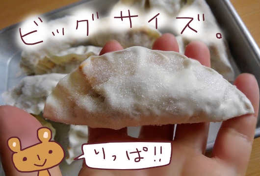 f:id:yagine:20210128122053j:plain