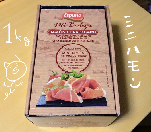 f:id:yagine:20210214112640j:plain