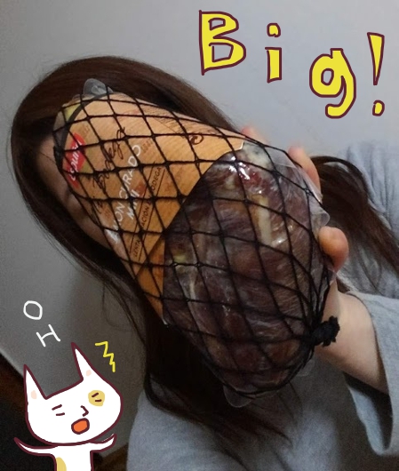 f:id:yagine:20210214112732j:plain