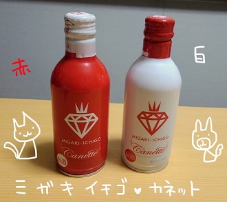 f:id:yagine:20210406103313j:plain