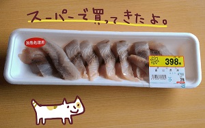 サゴシ