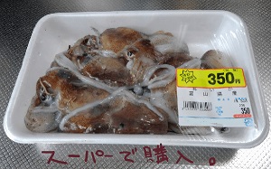 ミミイカ