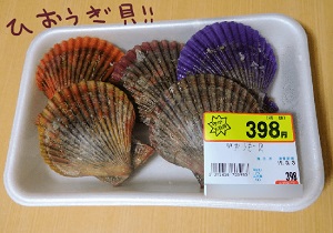 ひおうぎ貝