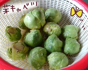 芽キャベツ