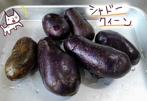 不器用な熟女の料理修行シリーズ 野菜編 一覧 まとめ 大人女子ヤギネの食レポブログ