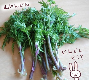 山にんじん