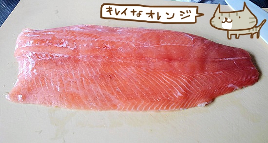 渓流サーモン
