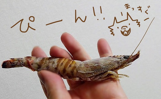 生産量日本一！久米島の車海老（クルマエビ）をお取り寄せしたよ【沖縄