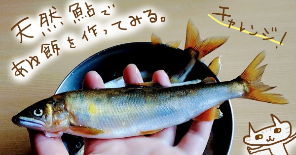 f:id:yagine:20211014121531j:plain