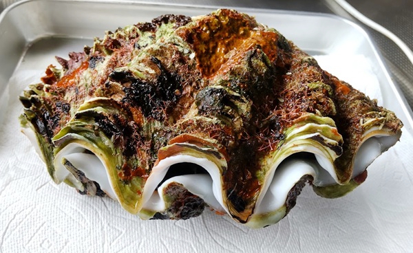 大きなシャコガイを解体して食べてみた【徳之島産】 - ヤギネの食レポ