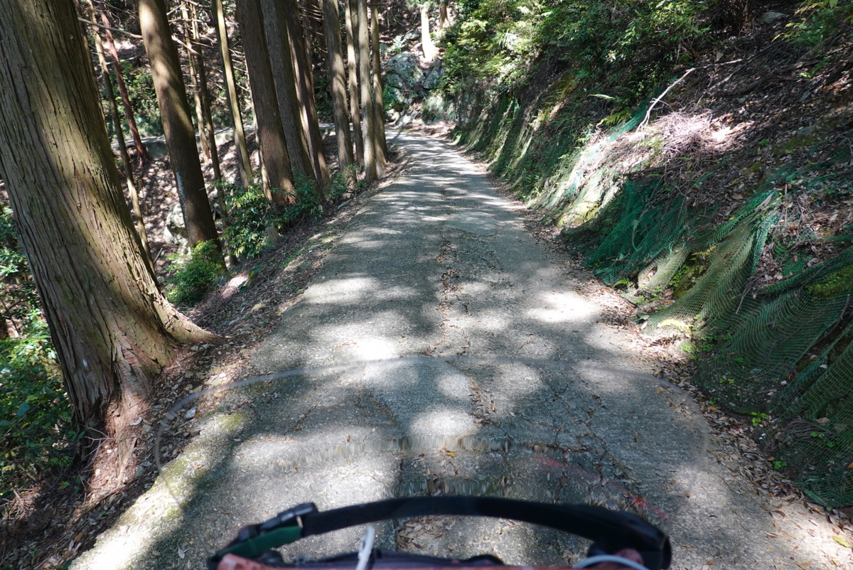 山頭火と四国遍路 山頭火と四国遍路 (コロナ・ブックス 109) | 横山