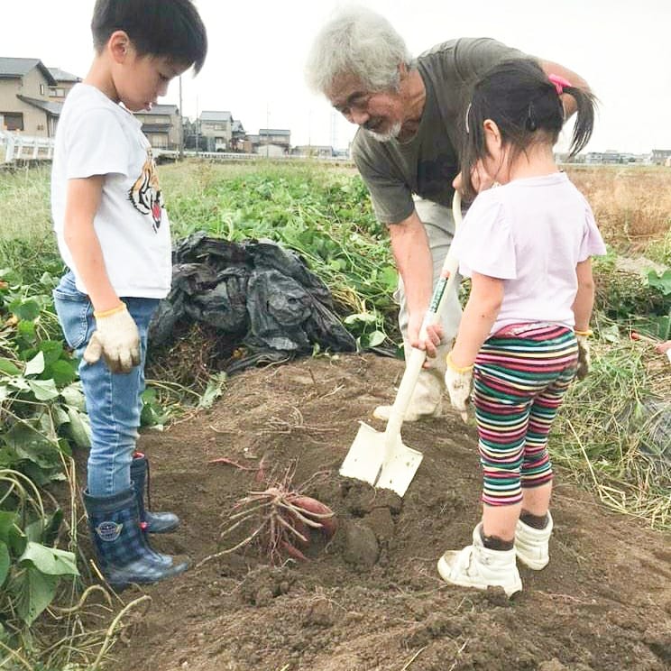 f:id:yagitokidokiyasai:20201115220418j:plain f:id:yagitokidokiyasai:20201115220418j:plain