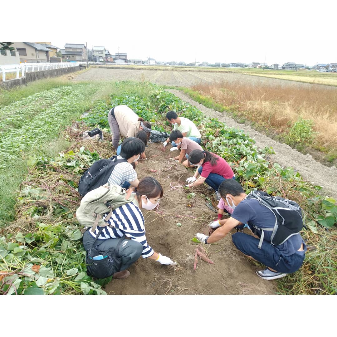 f:id:yagitokidokiyasai:20201115220746j:plain f:id:yagitokidokiyasai:20201115220746j:plain