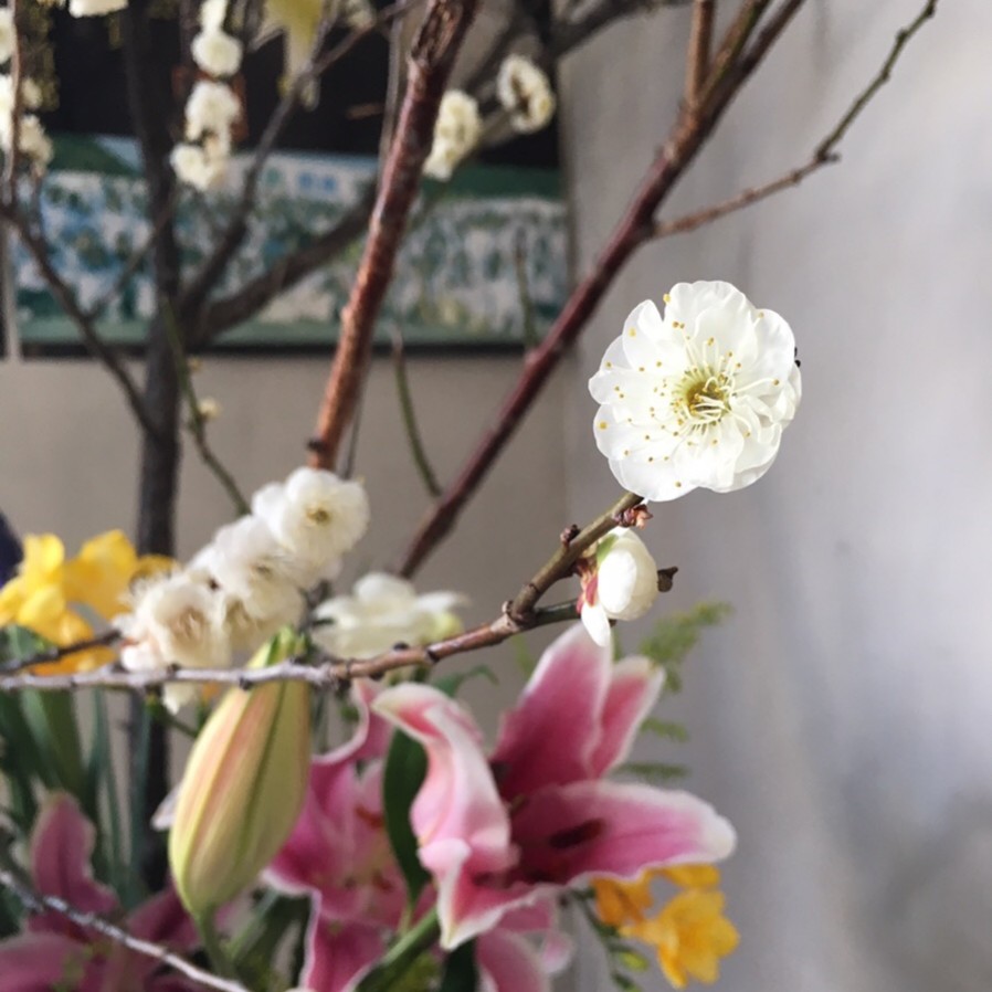 f:id:yago-keisuke:20190119181049j:plain f:id:yago-keisuke:20190119181049j:plain