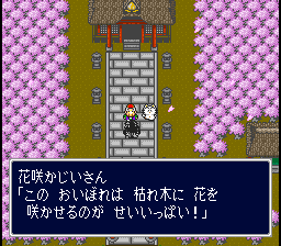 花を咲かせるのがせいいっぱい! 花を咲かせるのがせいいっぱい