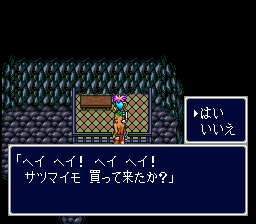 サツマイモ買って来たか？