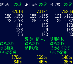 ましらを隊列2番手に