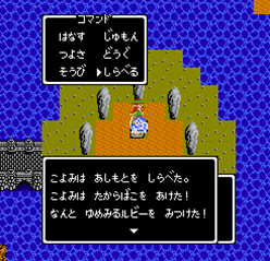 夢見るルビーを見つけた！