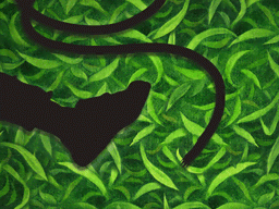 遺体の傍らにロープ