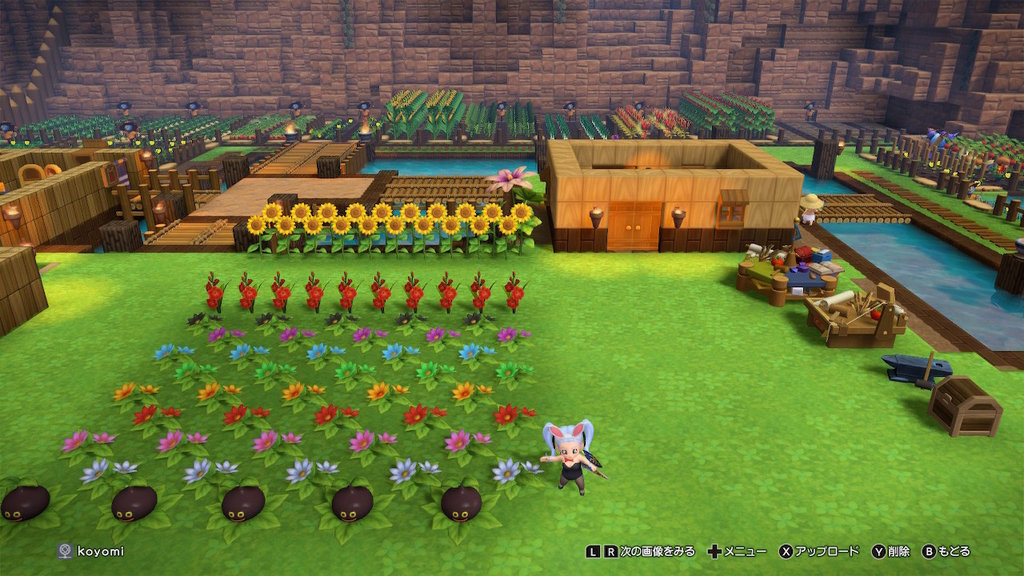 お花畑