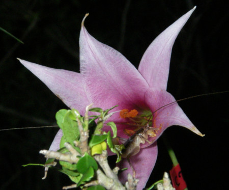 f:id:yahara:20090608205530j:image f:id:yahara:20090608205530j:image