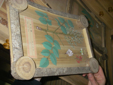 f:id:yahara:20100331221829j:image f:id:yahara:20100331221829j:image