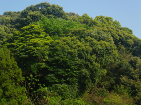 f:id:yahara:20120422164730j:image:right