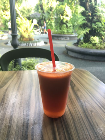 f:id:yahori_tsukasa:20170305130909j:plain