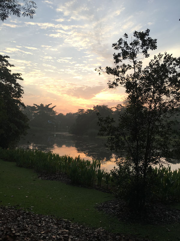 f:id:yahori_tsukasa:20170418205134j:plain