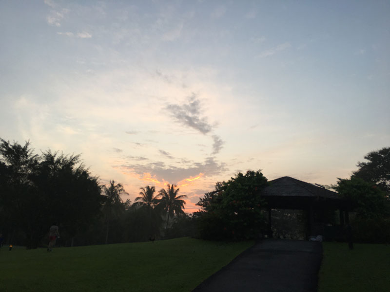 f:id:yahori_tsukasa:20170418205156j:plain