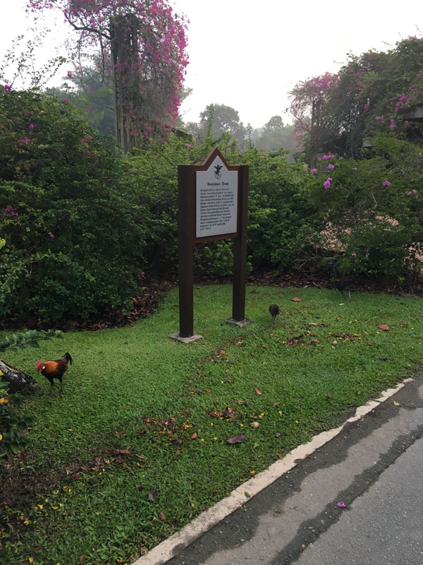 f:id:yahori_tsukasa:20170418205222j:plain